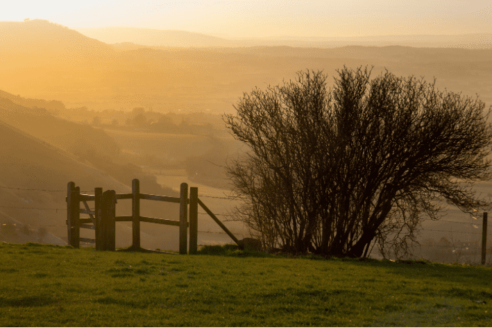 Home sussex